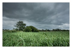 Dorset 19  Waymouth Wetlands as rain was due