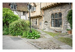 Dorset 42  Winchester Cathedral Grounds