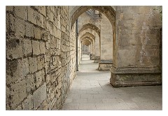 Dorset 43  Winchester Cathedral Grounds