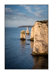 Dorset in Spring 13  Studland Wood Coastal Path