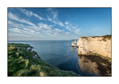 Dorset in Spring 14  Studland Wood Coastal Path