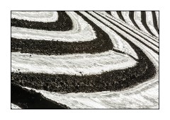 Dorset in Spring 15  Wareham Road Plastic sheets in the fields