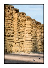 Dorset in Spring 17  West Bay