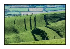 Dorset in Spring 18  Chalk Pit Lane