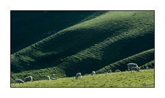 Dorset in Spring 19  Chalk Pit Lane