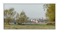 Dorset in Spring 27  Somerset Levels