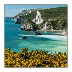 Dorset in Spring 30  Views of St Oswald's Bay