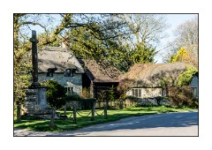 Dorset in Spring 31  Ashmore Village