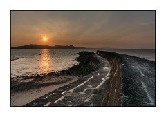 Dorset Spring April 2013