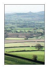 Dorset in Spring 40  Views across Marshwood Vale