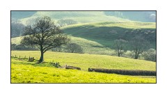 Dorset in Spring 42  Views across Marshwood Vale
