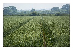 Cambridge  05  Barton Farm