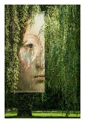 France Amboise 19  Chateau de Clos Luce Leonardo da Vinci's Home