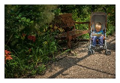 France Chateaus and Churches 43  Chateau de Cheverny Pergala walk with Jason on the tablet again!