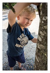 France Chateaus and Churches 60  Town of Chatres Jason working on a tree!!