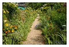 France Giverny 05  Claude Monet's Garden The Yellow and Orange Border