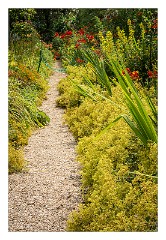 France Giverny 07  Claude Monet's Garden The Yellow Border