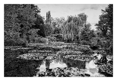 France Giverny 18  Claude Monet's Lily Pond in Black and White