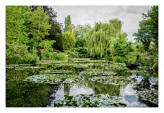 France Giverny 19  Claude Monet's Lily Pond in Colour