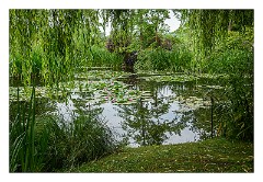France Giverny 21  Claude Monet's Lily Pond