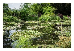 France Giverny 25  Claude Monet's Lily Pond