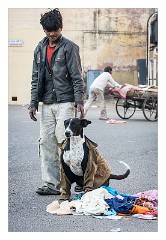 Jaipur  14  Keeping the Dogs Warm
