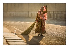 Jaipur  16  Early Morning Street Cleaner