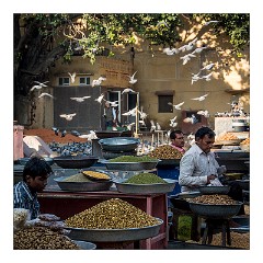 Jaipur  25  The square where people buy seeds and feed the birds