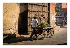 Jaipur  26  Another Gate into the City
