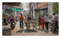 Jodhpur 057  The Brahmin area called the Blue City of Jodhpur