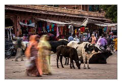 Jodhpur 068  Ghantaghar Market