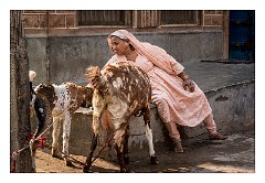 Jodhpur 092  The area called Lawaran