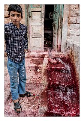 Jodhpur 093  The area called Lawaran