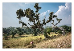 Journey to Jodhpur 003  View and working in fields, Bhat Madra