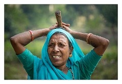 Journey to Jodhpur 005  Returning back to Bhat Madra after working in the fields