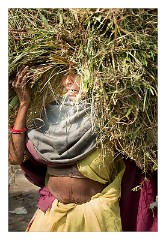 Journey to Jodhpur 006  Bhat Madra - still working