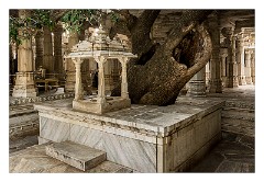 Journey to Jodhpur 020  Ranakpur Jain Temple, Sadri Rural