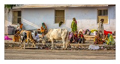 Pushkar 02  The Streets of Pushkar