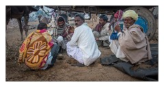 Pushkar 24  Pushkar Camel Fair