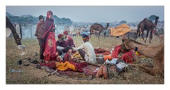 Pushkar 25  Pushkar Camel Fair - early morning families having breakfast