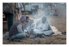 Pushkar 29  Pushkar Camel Fair