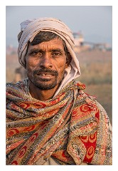 Pushkar 31  Pushkar Camel Fair