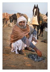 Pushkar 32  Pushkar Camel Fair