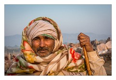 Pushkar 33  Pushkar Camel Fair