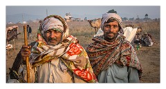 Pushkar 35  Pushkar Camel Fair