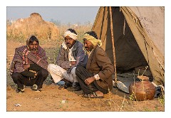 Pushkar 37  Pushkar Camel Fair