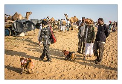 Pushkar 49  Pushkar Camel Fair - monkey entertainers