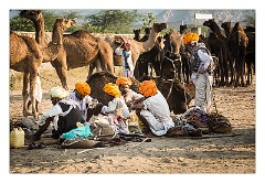 Pushkar 61  Evening at the Pushkar Camel Fair