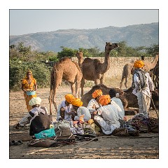 Pushkar 62  Evening at the Pushkar Camel Fair