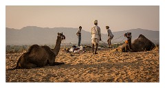 Pushkar 66  Evening at the Pushkar Camel Fair